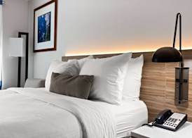 Wyndham Garden Manassas 3