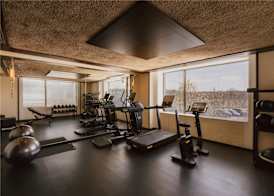 Maison Heler Metz, Curio Collection By Hilton 5