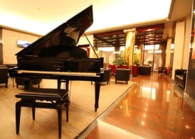 Hotel Diplomatic 2