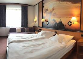 Hotel Seebach 3