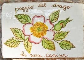 Agriturismo Poggio del Drago 2
