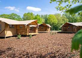 EuroParcs Het Amsterdamse Bos 2