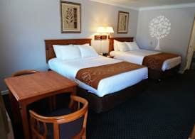 Journey Inn 4