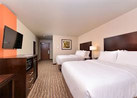 Holiday Inn Express & Suites HOUSTON NW - TOMBALL AREA by IHG 5