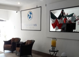 Pelicano Inn Playa del Carmen - Beachfront Hotel 3