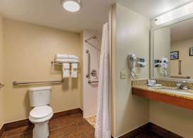 Comfort Inn & Suites Milford 5