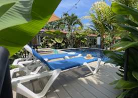 Rooms & Pool Macaws 2