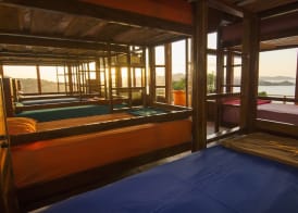 One Tree Hill - Hostel 4