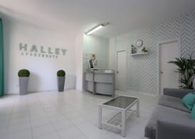Apartamentos Halley 4