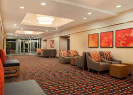 Hyatt Place Houston/The Woodlands 3