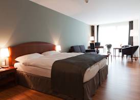 Hôtel Rallye & Entrées aux Bains de la Gruyère 4