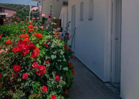 Kefalos Studios Anthoula 4
