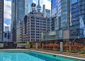 Hilton Toronto 5