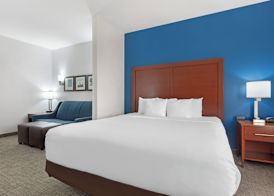 Comfort Suites DFW N-Grapevine 4