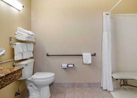 Comfort Inn & Suites Suwanee - Sugarloaf 4