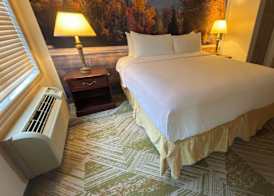 The Willowbrook Village at Lake Harmony, a Wyndham Hotel 4
