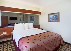 Microtel Inn & Suites by Wyndham Holland 5