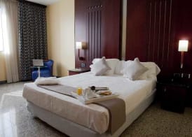 Hotel Amaltea by Executive Sport 4