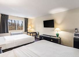Econo Lodge Whitehall near Michigan's Adventure 4