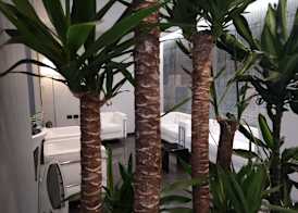 Hotel Daunia 2