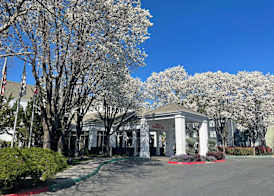 Hilton Garden Inn Sacramento-South/Natomas, CA 2