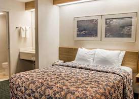 Rodeway Inn Abbotsford 4