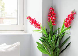 3 Bed Flat, Dedicated Workspace, Parking, 4KTV 3