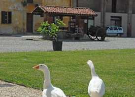 Hotel Antico Podere Propano 5