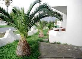 Greek Islands Studios 4