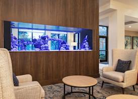 Hilton Garden Inn Palm Coast Town Center 4