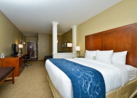 Comfort Suites Airport-University 5