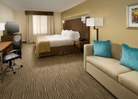 Holiday Inn EL PASO AIRPORT by IHG 4