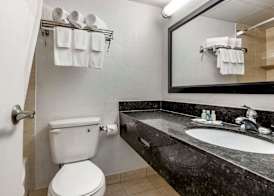 Quality Inn & Suites Vestal Binghamton 5