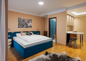 SWU Magazine Rooms 3