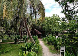 Eco Hotel Las Palmeras 2