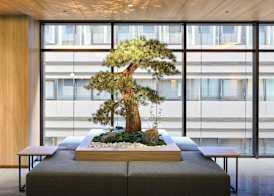 Daiwa Roynet Hotel Ginza PREMIER Renewal Open March 9th, 2026 4