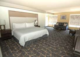Holiday Inn & Suites OAKLAND - AIRPORT by IHG 4