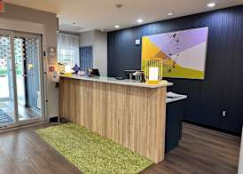 Spark by Hilton Guilford 2