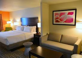 Holiday Inn Express & Suites HOUSTON NW - TOMBALL AREA by IHG 2