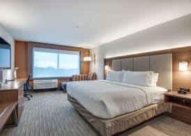 Holiday Inn Express & Suites DALLAS NORTH - ADDISON by IHG 4