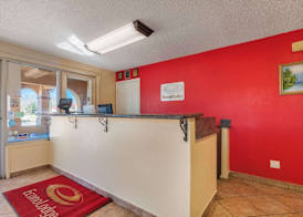 Econo Lodge San Marcos University Area 5
