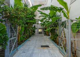 Mojo Hotel 3