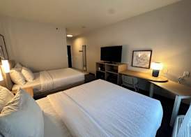 Spark by Hilton Guilford 5