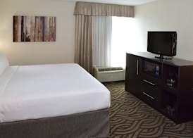Holiday Inn YOUNGSTOWN-SOUTH (BOARDMAN) by IHG 5