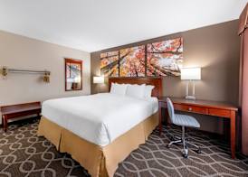 Days Inn by Wyndham St. Robert Waynesville/Ft. Leonard Wood 3