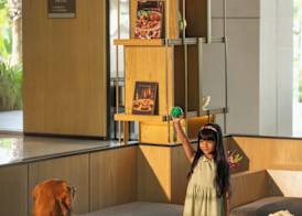 Aravali Marriott Resort & Spa, Delhi NCR 4