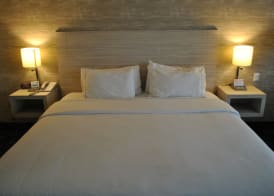 Holiday Inn Express TOLUCA by IHG 5