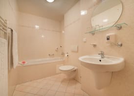 EA Hotel Elefant 4