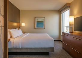 Hyatt Place Houston Galleria 5