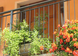 Residence Villa Margherita 5